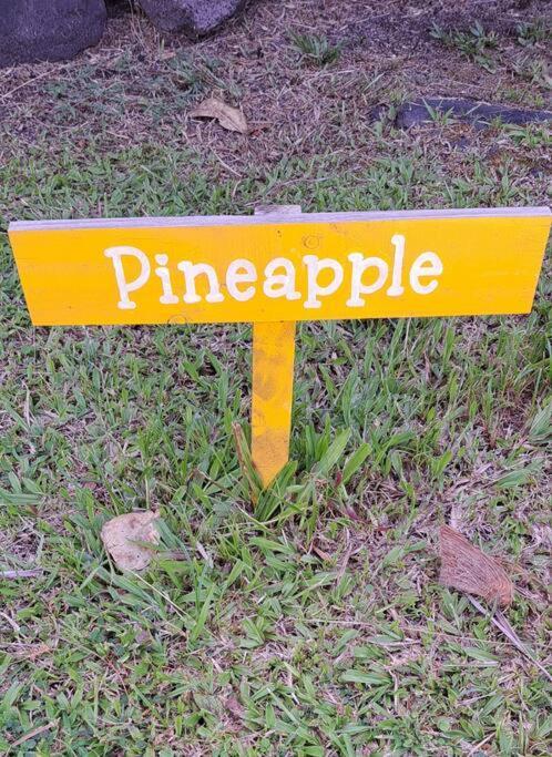 Pineapple Studio, Kitchenette, Private Lanai Keaau Exterior photo